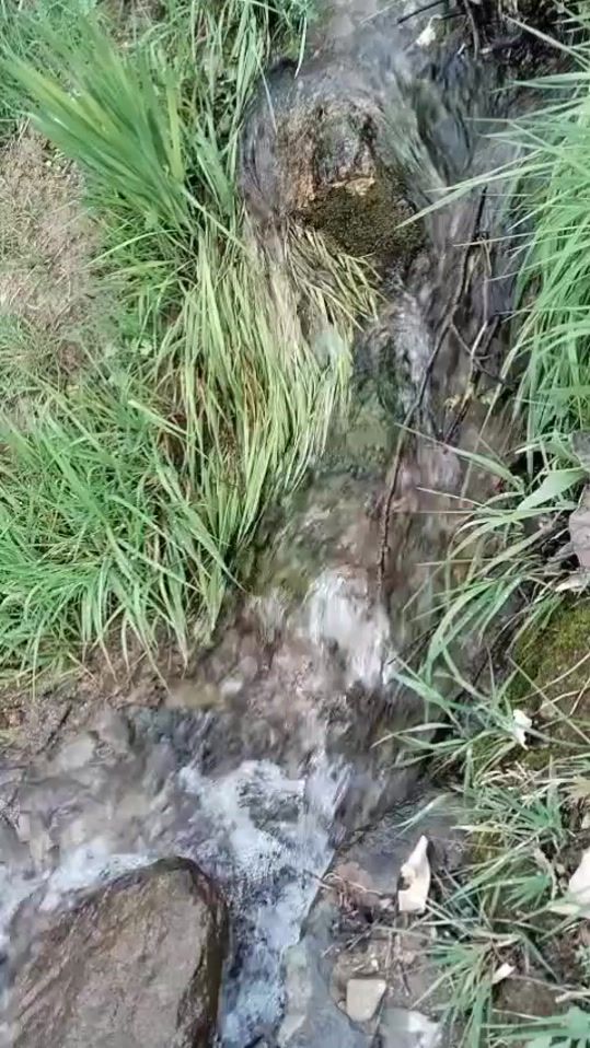 TikTok video thumbnail by sou__sya
