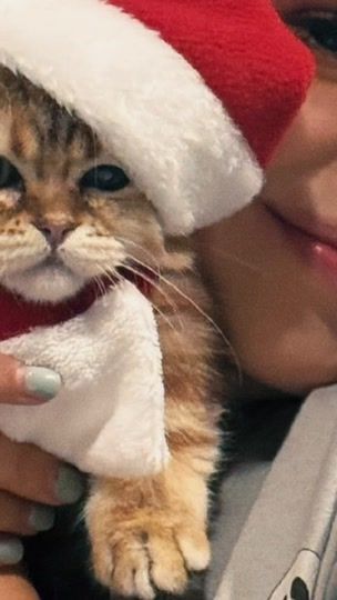 TikTok video thumbnail by domelipanuit
