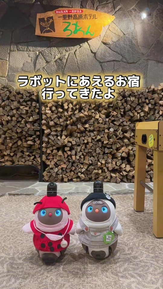 TikTok video thumbnail by lovot_hanabi
