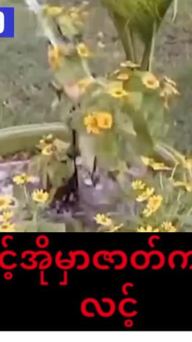 TikTok video thumbnail by buabua479