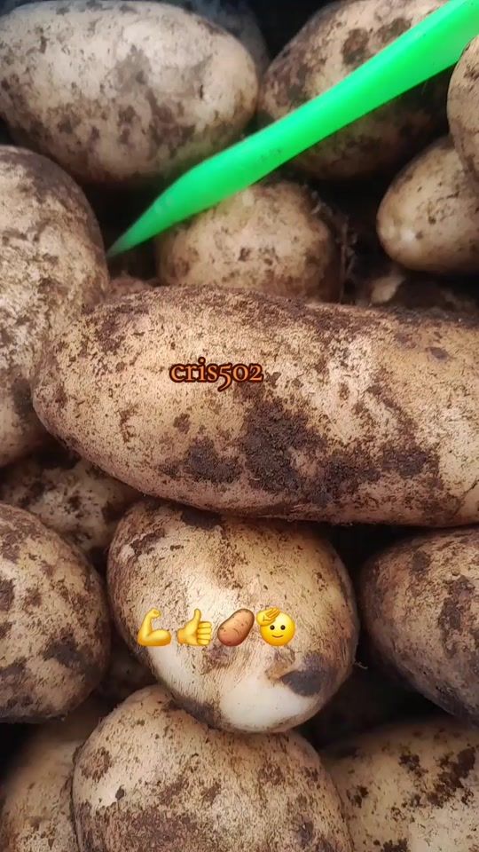 TikTok video thumbnail by cristobld