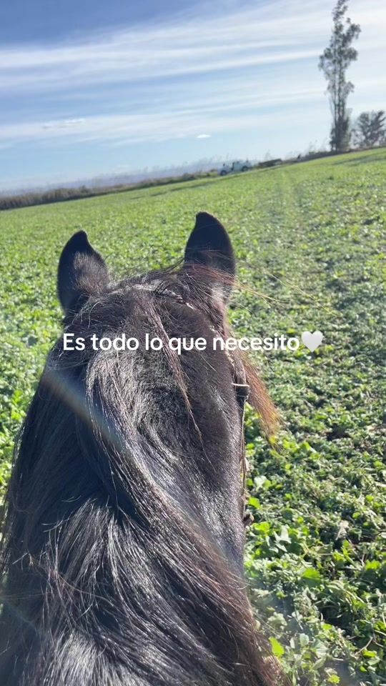 TikTok video thumbnail by juliette_alee