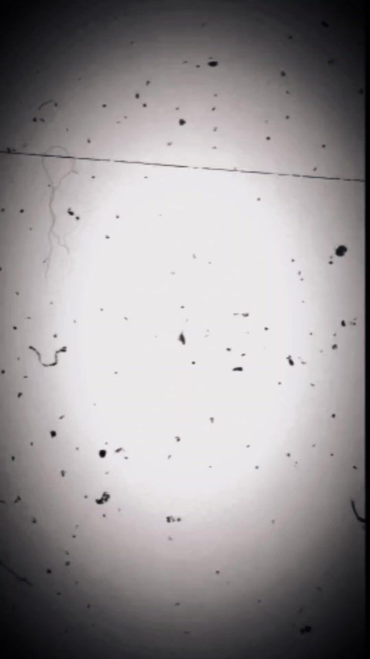TikTok video thumbnail by oksana6as