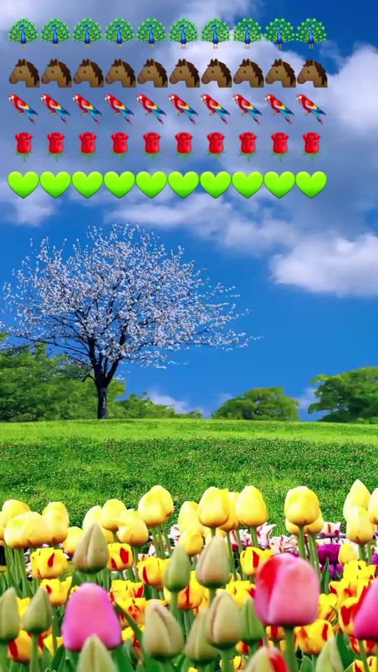 TikTok video thumbnail by hasanoff.877