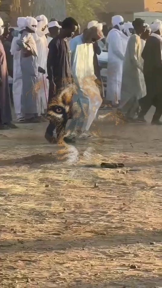 TikTok video thumbnail by batio_chahar