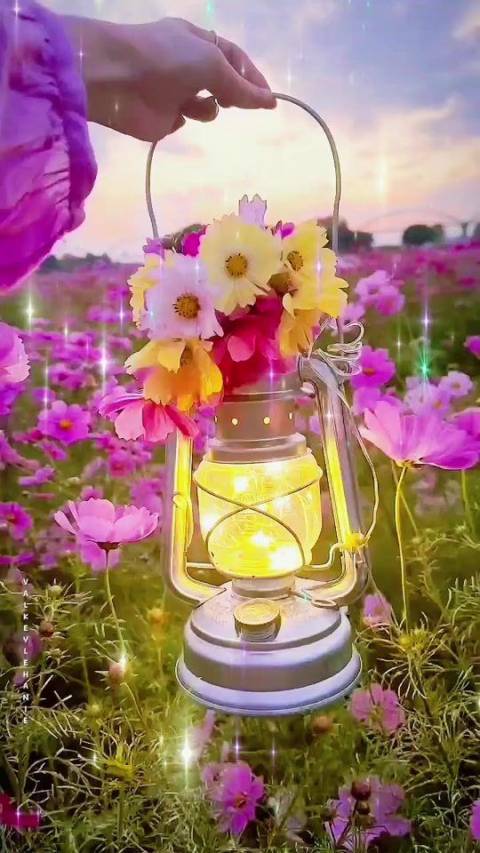 TikTok video thumbnail by valkey_le_hanie