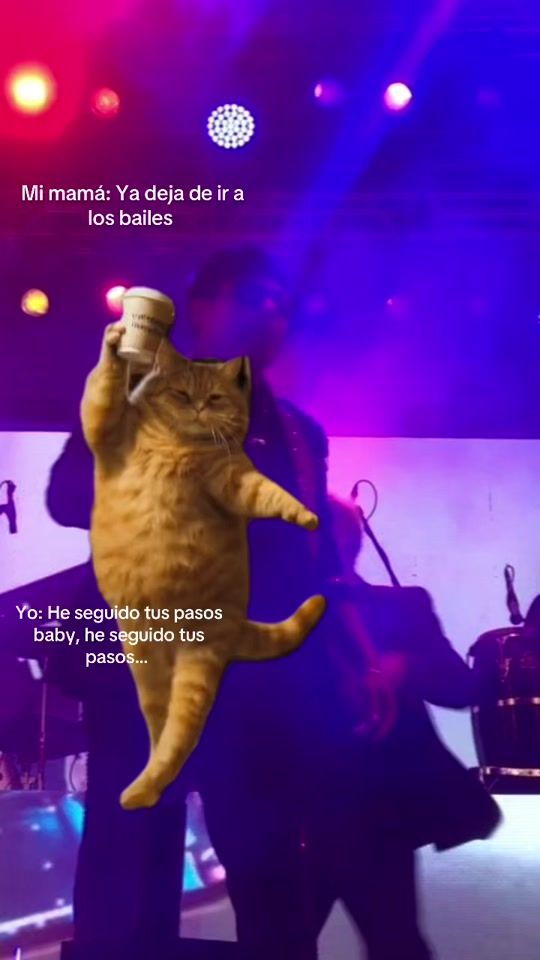 TikTok video thumbnail by mtz_cora