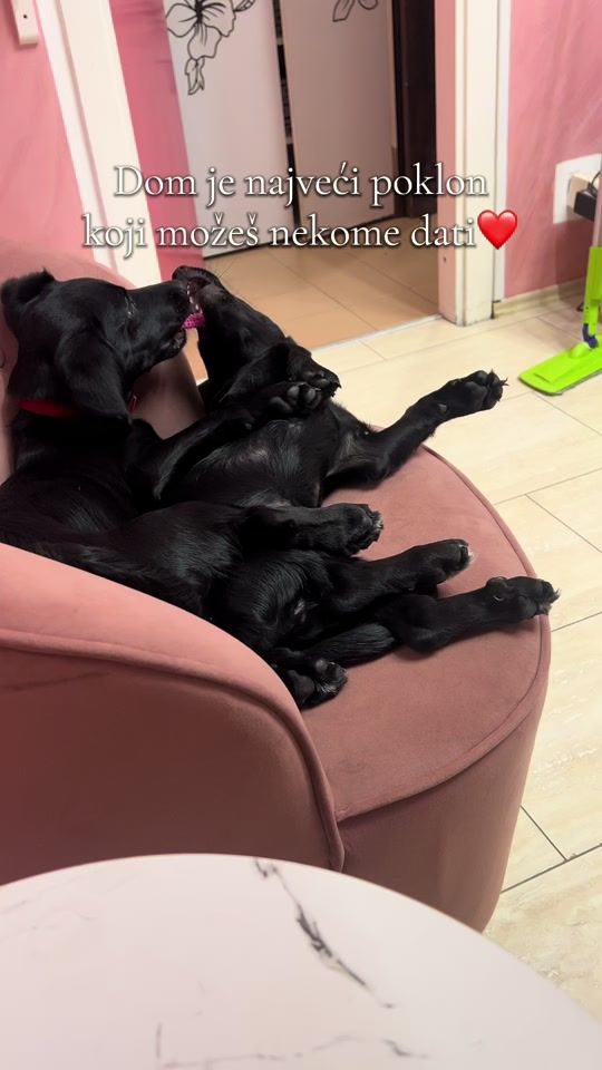 TikTok video thumbnail by by.micili
