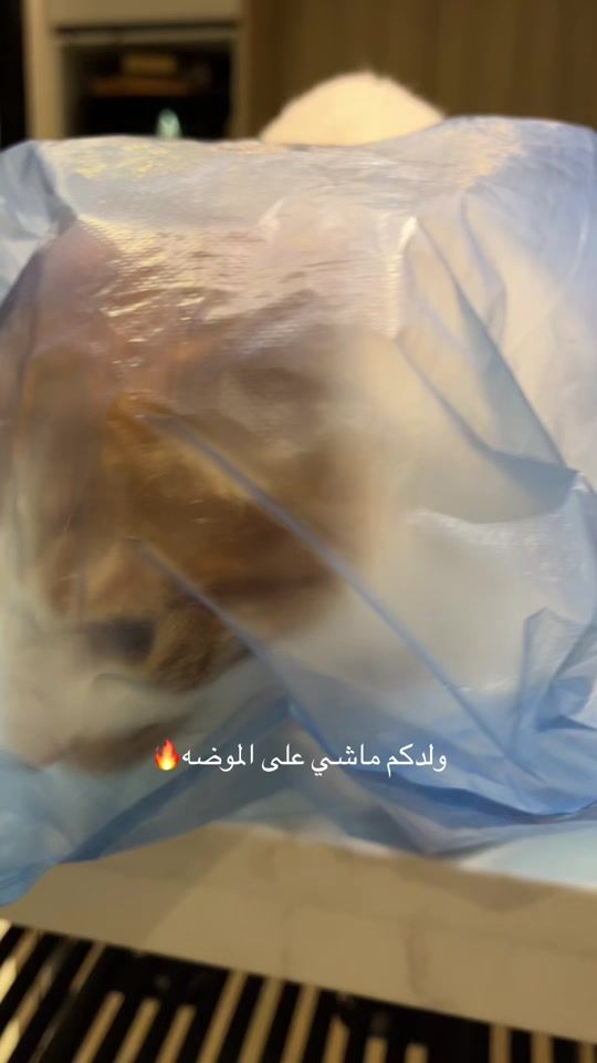 TikTok video thumbnail by linda.ixx