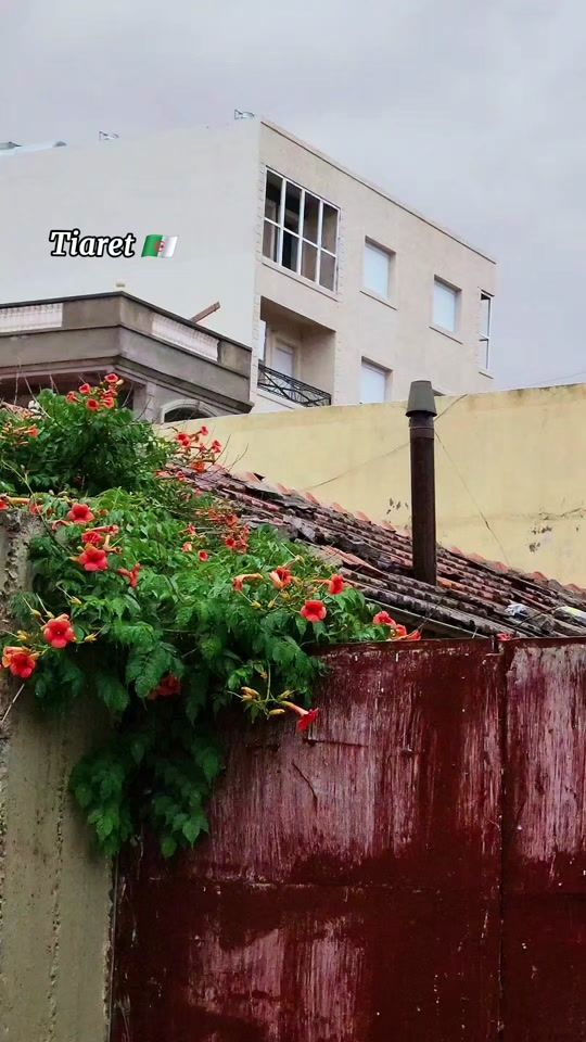 TikTok video thumbnail by muhieddine_sharing