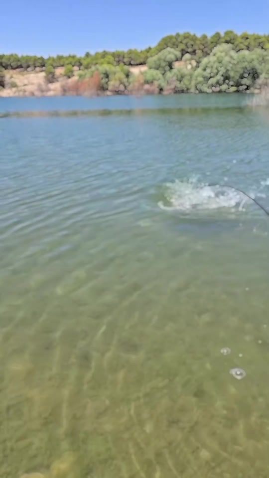 TikTok video thumbnail by mumyakmaz_carpfishing_03