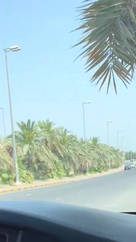 TikTok video thumbnail by hoori..786