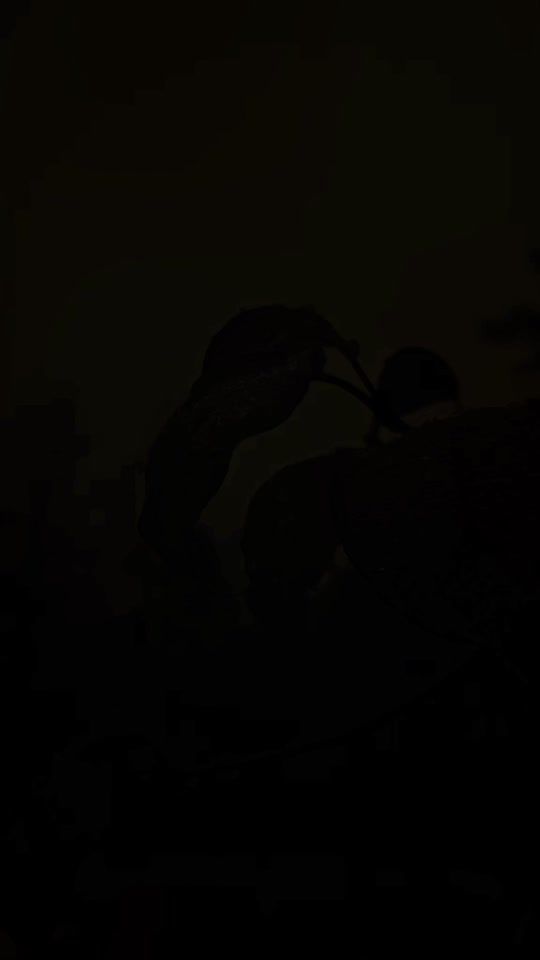 TikTok video thumbnail by bmc9008