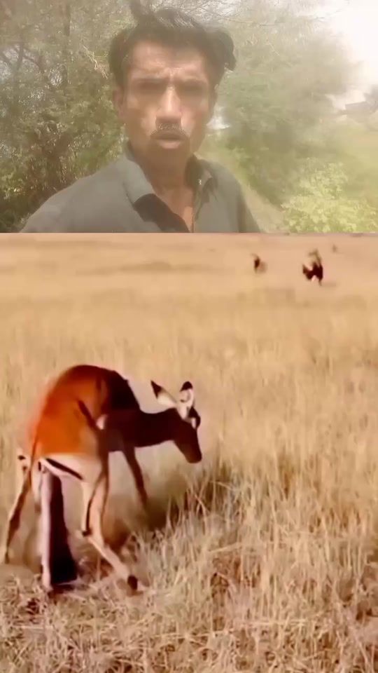 TikTok video thumbnail by fidaofficial8