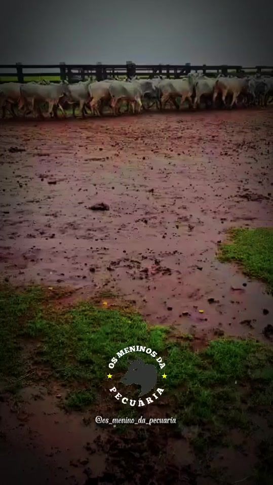TikTok video thumbnail by wuilian.sanche