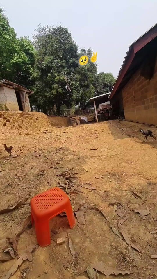 TikTok video thumbnail by kai.moma