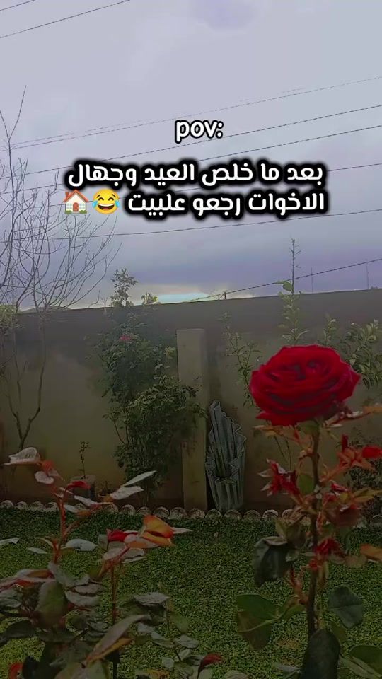 TikTok video thumbnail by mir_2_0