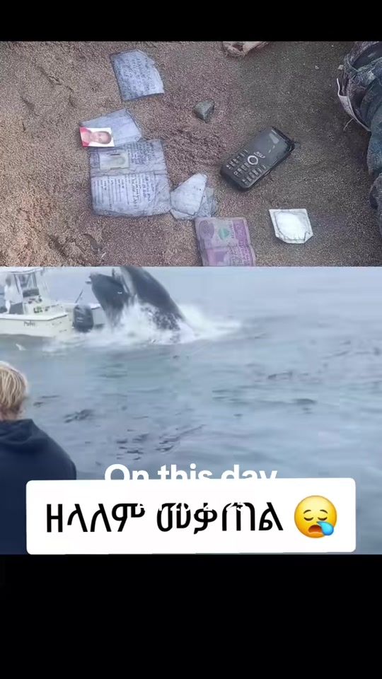 TikTok video thumbnail by rodas_gebre