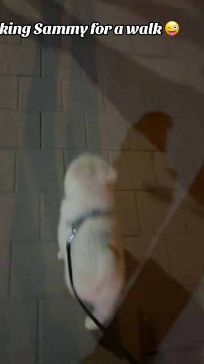 TikTok video thumbnail by darksniperx3