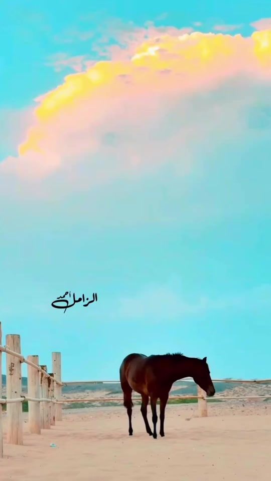 TikTok video thumbnail by zamil_a