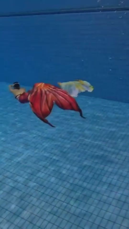 TikTok video thumbnail by miki.koimermaid