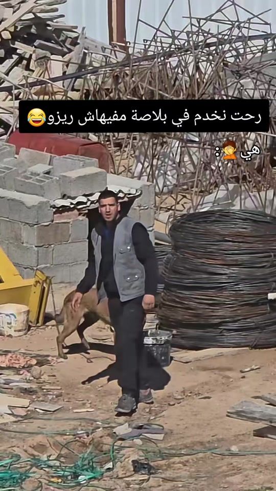 TikTok video thumbnail by vd_8v