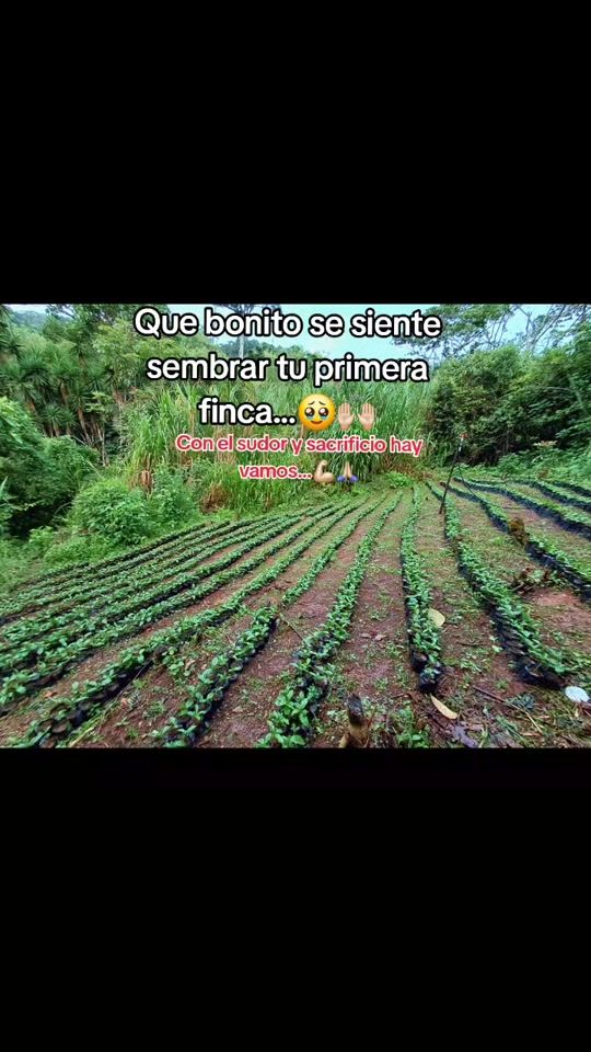 TikTok video thumbnail by jonathanrodriguez855