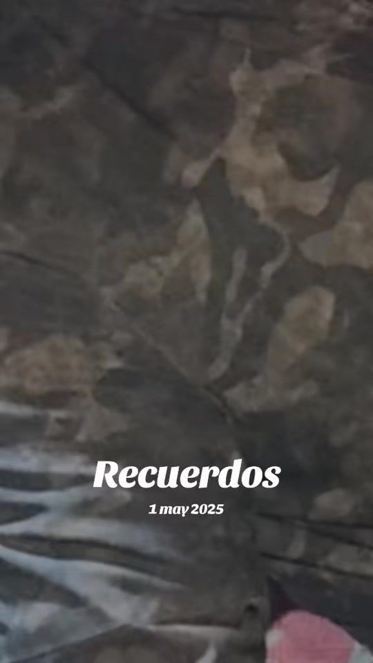 TikTok video thumbnail by herrera_alex.24