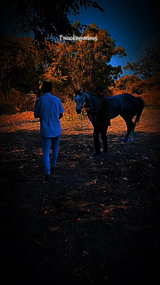 TikTok video thumbnail by hermosillo_mario