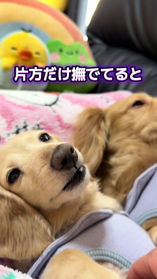 TikTok video thumbnail by hiroki.yoko7738