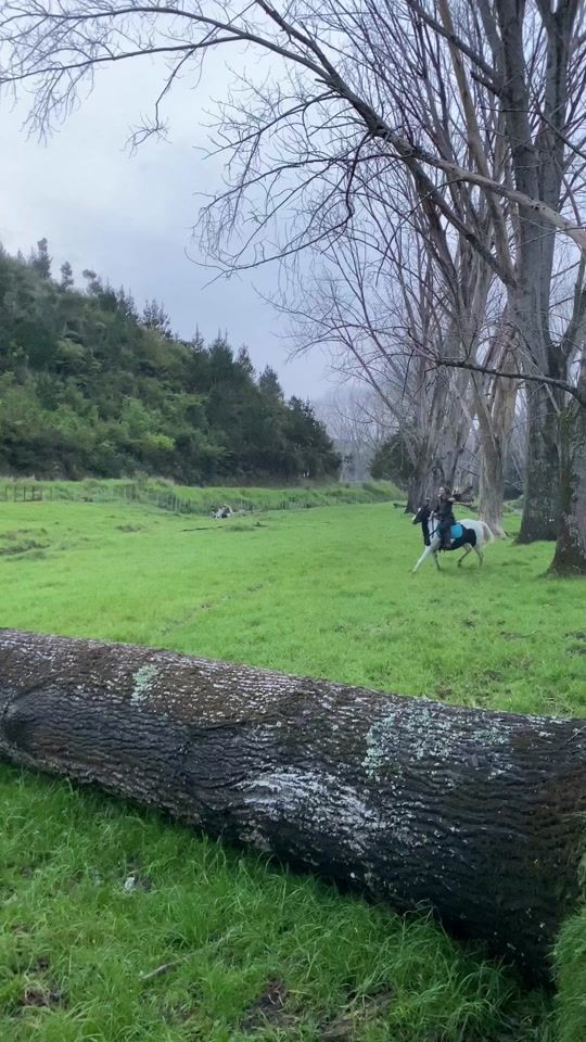 TikTok video thumbnail by keira4154