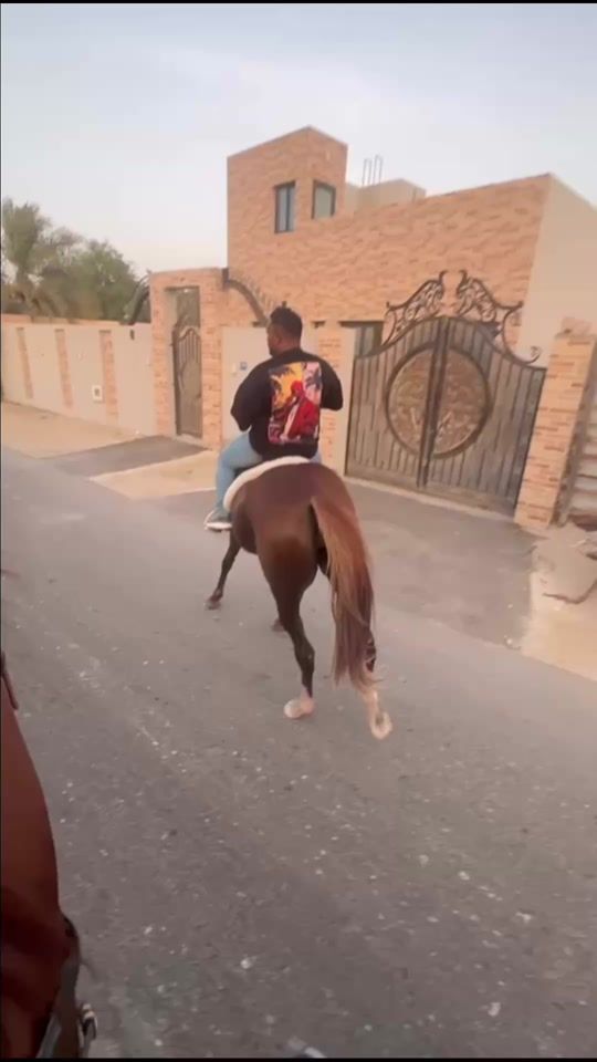 TikTok video thumbnail by abdullahalnaar