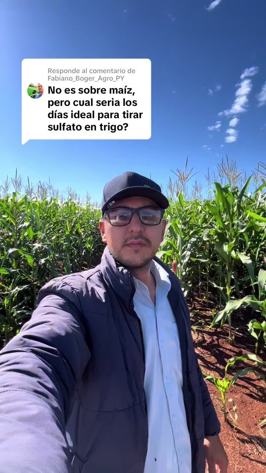 TikTok video thumbnail by rodrigo_rr_