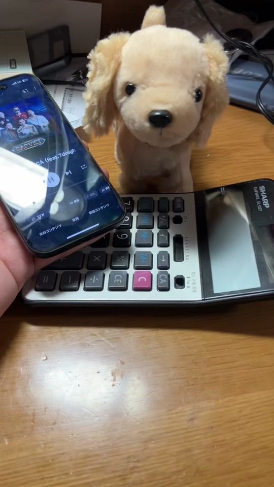 TikTok video thumbnail by oshaberidogs