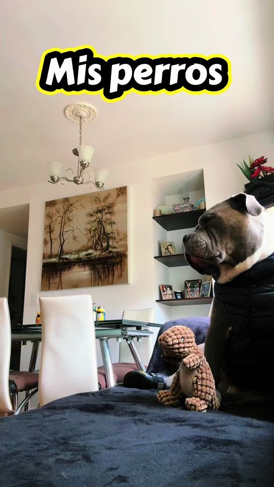 TikTok video thumbnail by drako.593ec