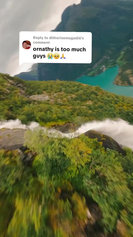 TikTok video thumbnail by ornathy