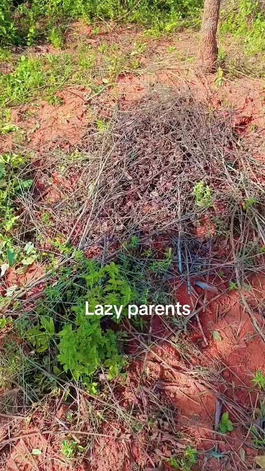 TikTok video thumbnail by queenkamene