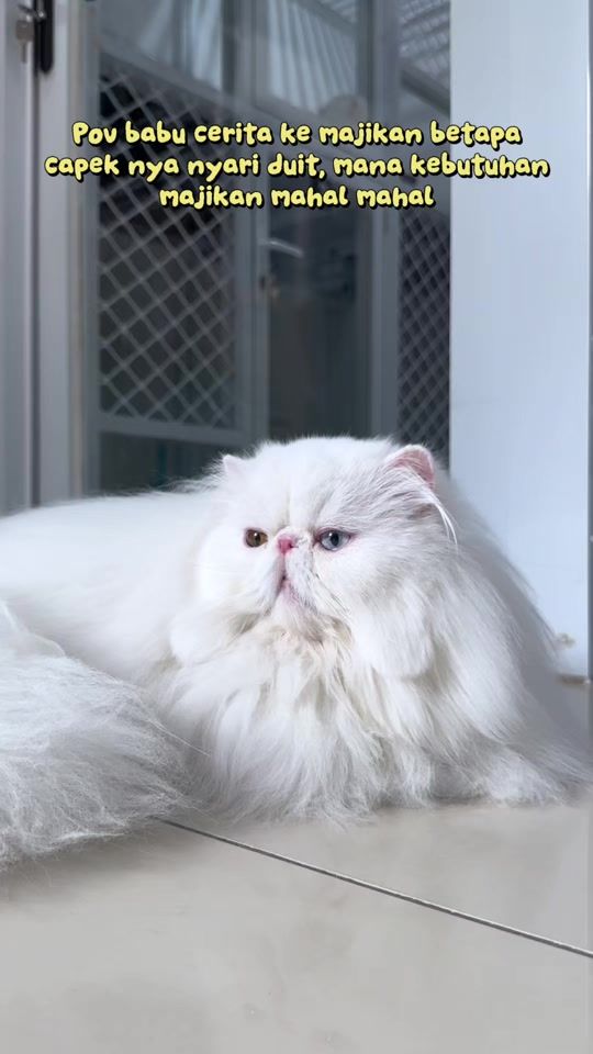TikTok video thumbnail by olivecareofficial