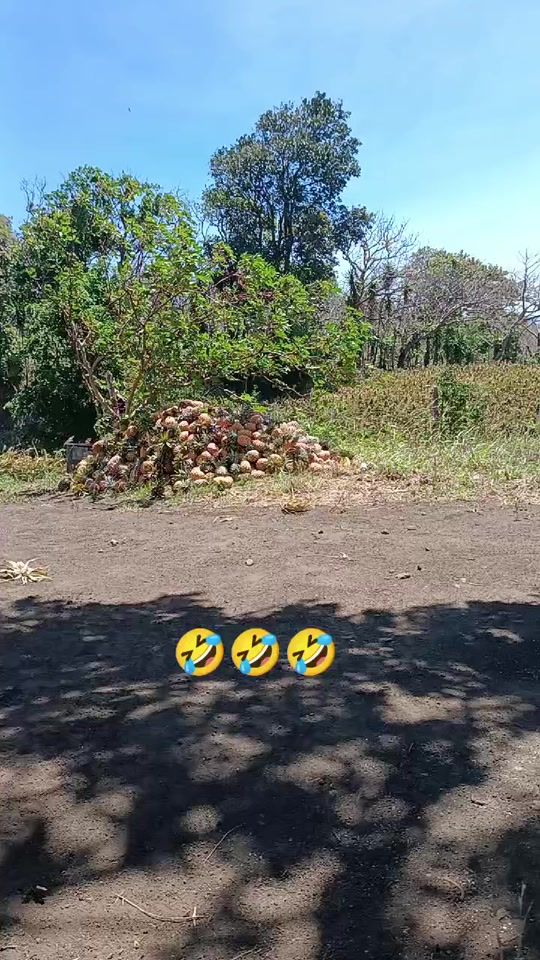 TikTok video thumbnail by jairodriguez_77