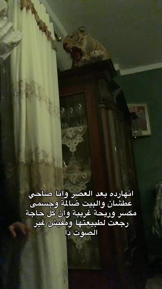 TikTok video thumbnail by mazen.simba