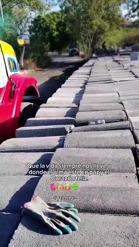 TikTok video thumbnail by meneses940