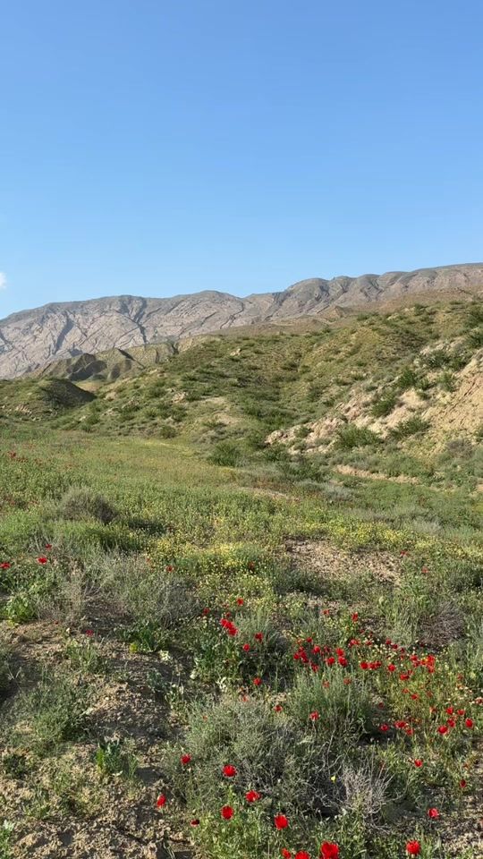 TikTok video thumbnail by guyc03021991