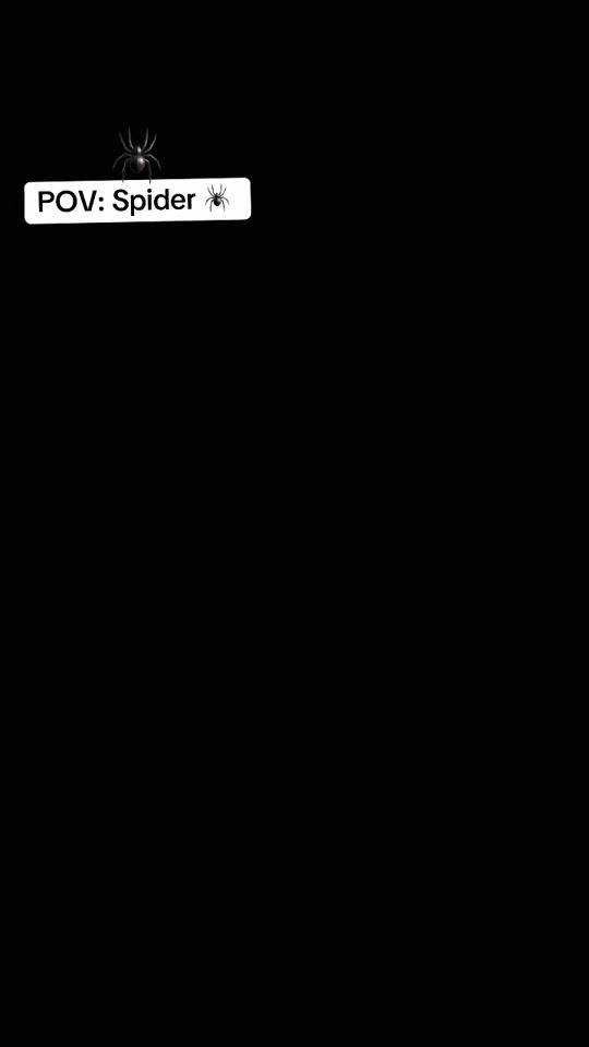 TikTok video thumbnail by agogo533