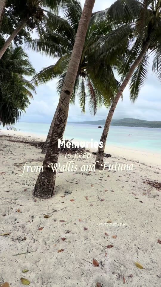TikTok video thumbnail by wftourisme