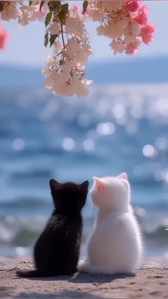 TikTok video thumbnail by sevaseva406