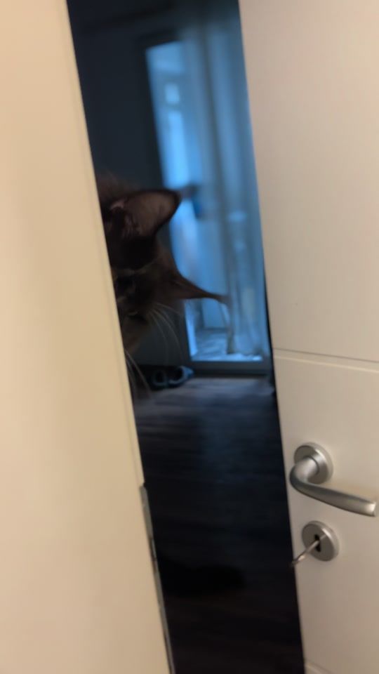 TikTok video thumbnail by andemastar