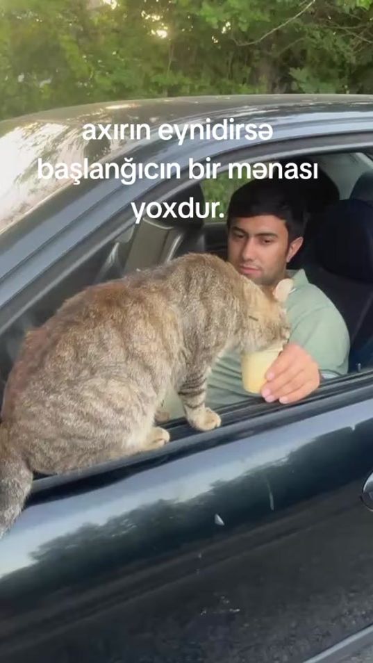 TikTok video thumbnail by elgizbmw