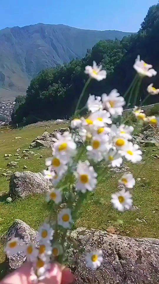 TikTok video thumbnail by arkelis6