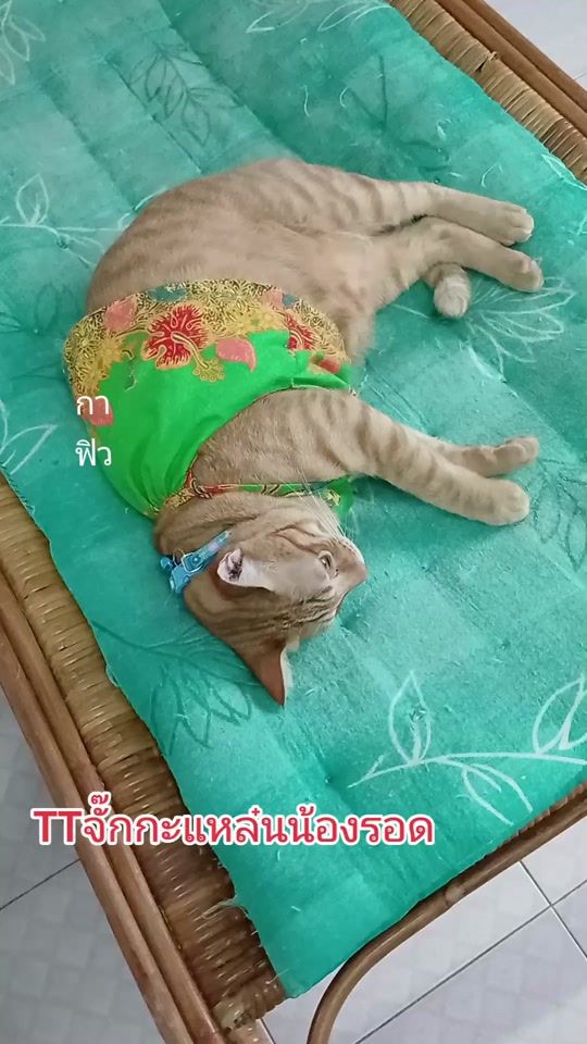 TikTok video thumbnail by noo.na938
