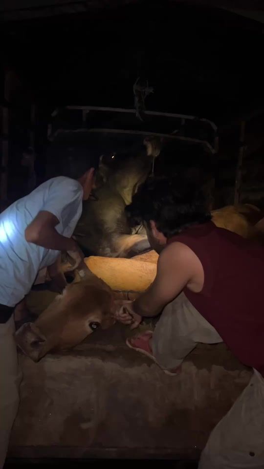TikTok video thumbnail by pradipthapa640
